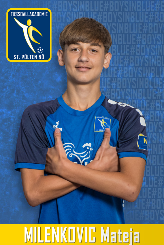 Milenkovic