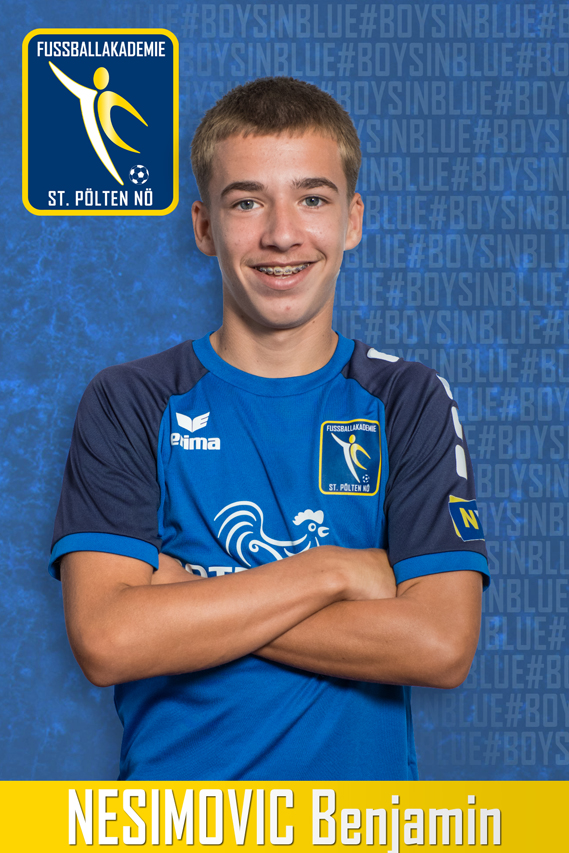 Nesimovic